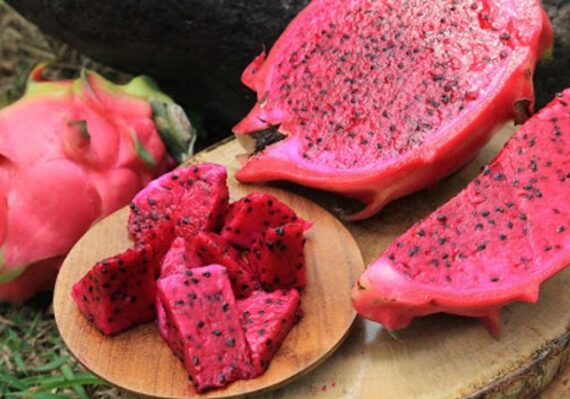 manfaat buah untuk kecantikan_a5345c181.jpg