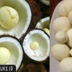 Manfaat Jahe Untuk Kesehatan Jantung