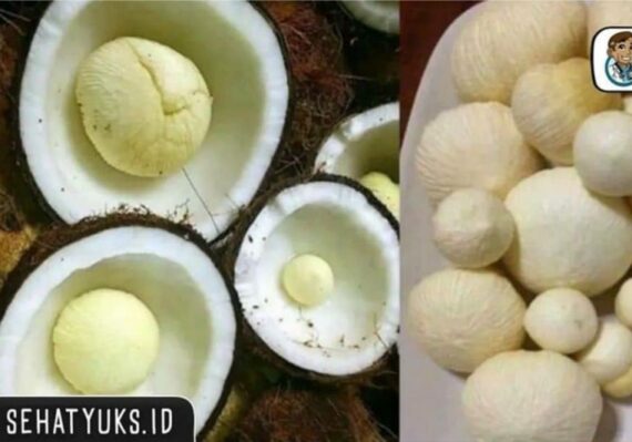 manfaat jahe untuk kesehatan jantung_5ff56685b.jpg
