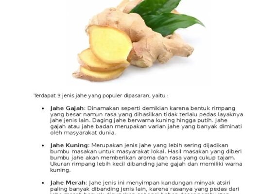 manfaat jahe untuk kesehatan_d84392dd0.jpg
