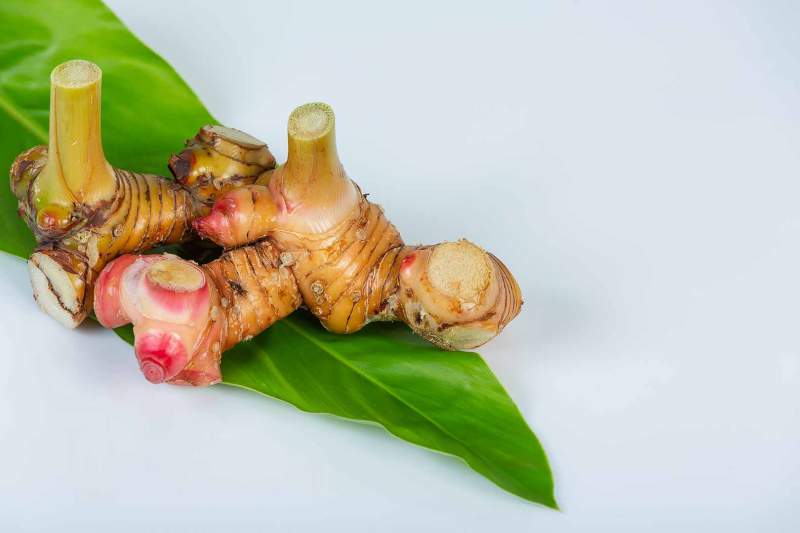 Manfaat Kencur Dan Jahe Untuk Kesehatan