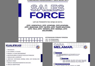 info lowongan kerja kota palu hari ini_7d8812103.jpg