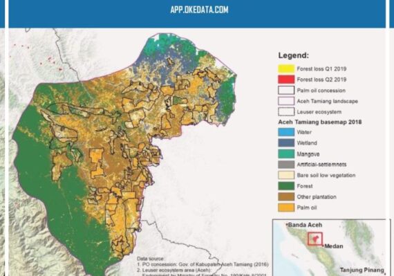 lowongan kerja di aceh tamiang_f122efdb6.jpg