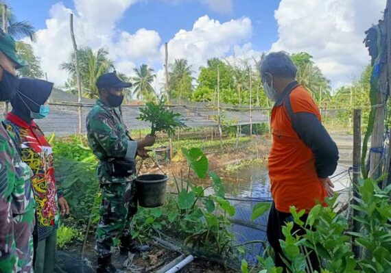 lowongan kerja perkebunan di aceh tamiang_2b0bf6e66.jpg