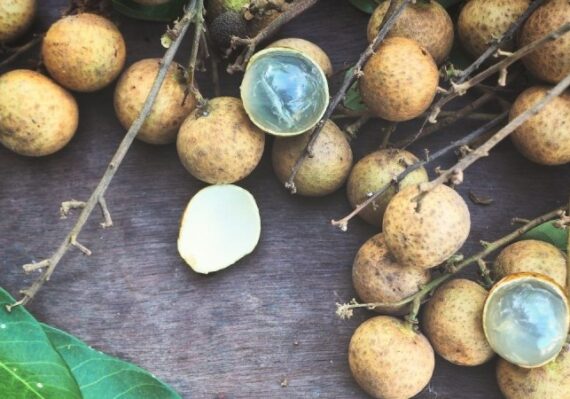 manfaat buah kelengkeng untuk kecantikan_a34923893.jpg