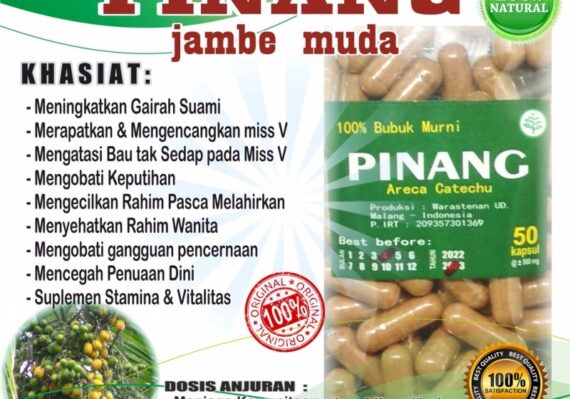 manfaat buah pinang untuk kecantikan_1144b0e0f.jpg