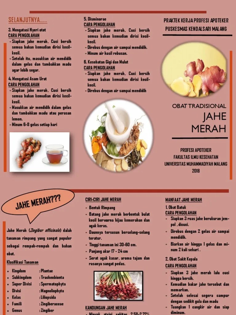 Manfaat Jahe Merah Untuk Kesehatan