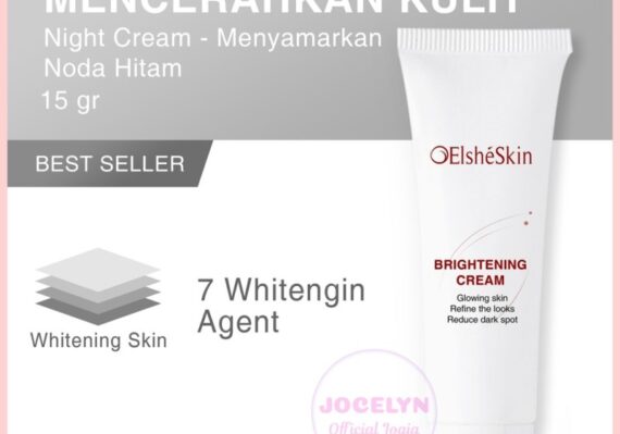 perawatan kecantikan di klinik elsheskin_4791608e7.jpg