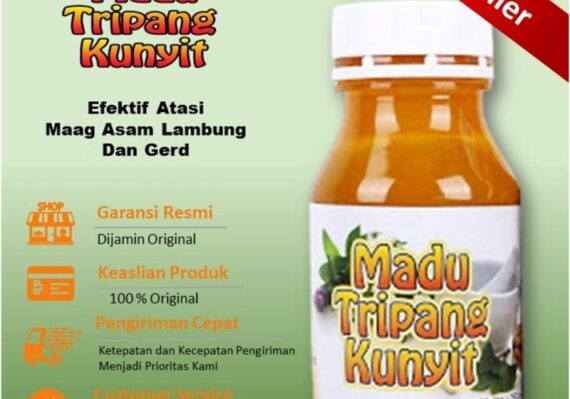 biang kunyit untuk asam lambung_6472523b6.jpg