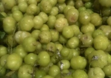 buah cermai untuk ibu hamil_1275799f0.jpg