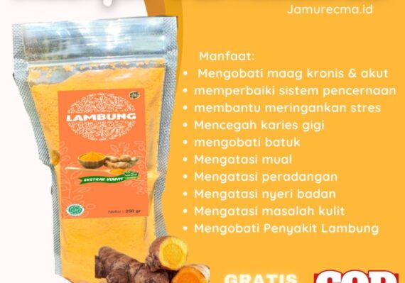 cara membuat biang kunyit untuk asam lambung_58f9d5bc1.jpg
