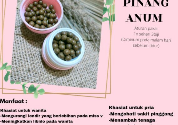 cara mengolah pinang muda untuk miss v_540011af6.jpg