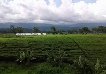 homestay di solok sumatera barat_04206b2d1.jpg