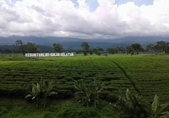 homestay di solok sumatera barat_04206b2d1.jpg