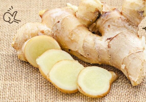khasiat air jahe dan bawang putih_38d569a65.jpg