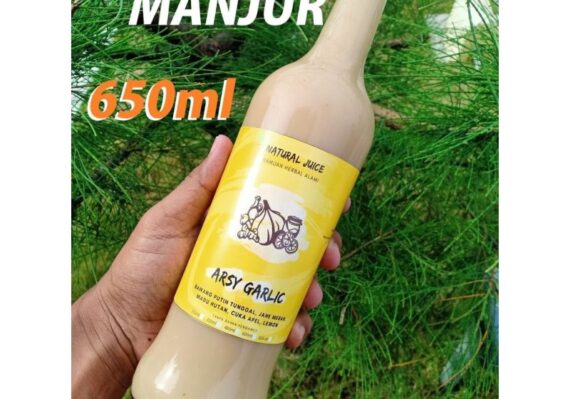 khasiat ramuan bawang putih jahe lemon cuka apel madu_0b67e2968.jpg