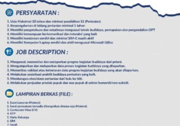 lowongan kerja bangka belitung terbaru_ef87a9e49.jpg