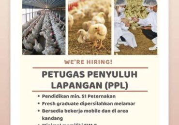 lowongan kerja blitar lulusan sma_d34c845c9.jpg