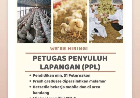 lowongan kerja blitar lulusan sma_d34c845c9.jpg