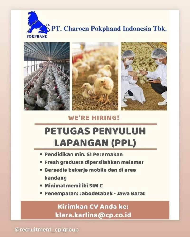 Lowongan Kerja Blitar Lulusan Sma