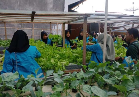 lowongan kerja di kuala simpang aceh tamiang_643c498b2.jpg