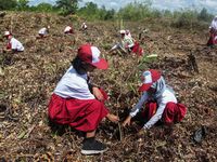 lowongan kerja di perkebunan australia_865fdd188.jpg