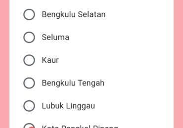 lowongan kerja kabupaten bengkulu tengah terbaru_b5c738007.jpg