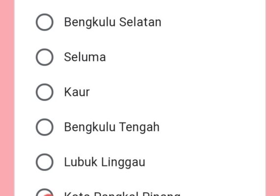 lowongan kerja kabupaten bengkulu tengah terbaru_b5c738007.jpg