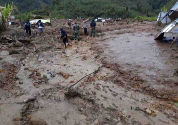 lowongan kerja kabupaten paniai terbaru_569c784b7.jpg