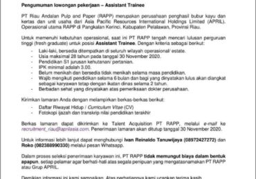 lowongan kerja kabupaten pelalawan terbaru_5be8ab3b0.jpg