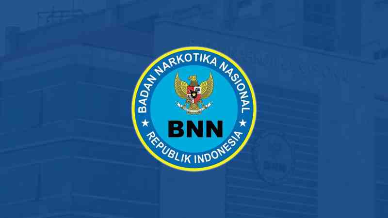Lowongan Kerja Kabupaten Pidie Terbaru