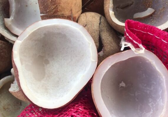 manfaat buah angkung bagi kesehatan_3f328399a.jpg