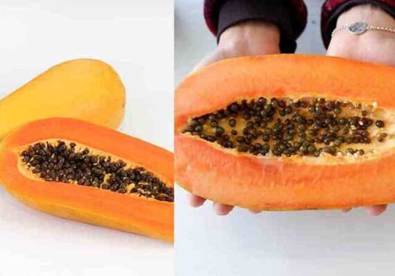 manfaat buah pepaya untuk kecantikan_eec013005.jpg