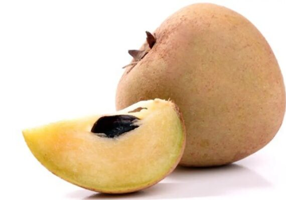 manfaat buah sawo bagi kesehatan_ac6ed49d8.jpg