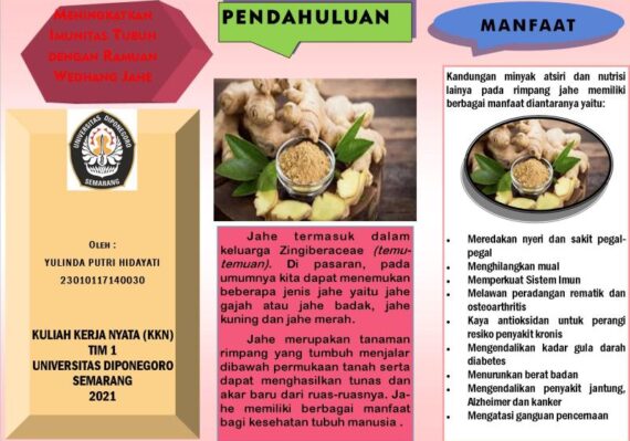 manfaat jahe bagi kesehatan tubuh manusia_8b3005b97.jpg