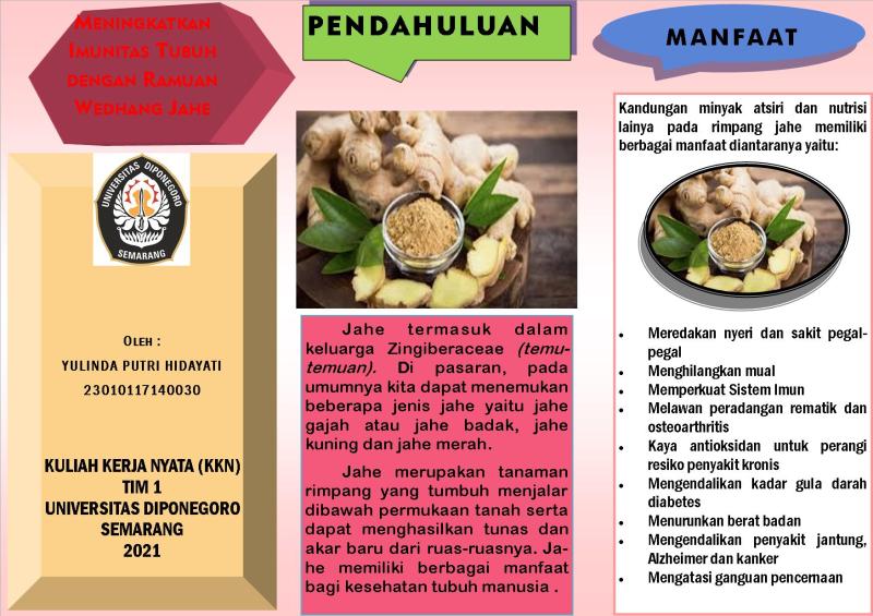 Manfaat Jahe Bagi Kesehatan Tubuh Manusia