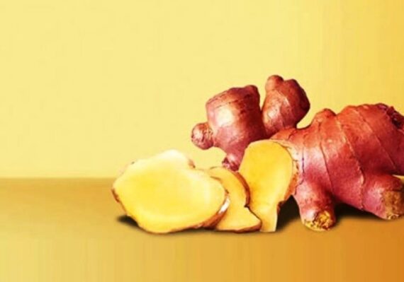 manfaat jahe emprit untuk diet_10a060242.jpg