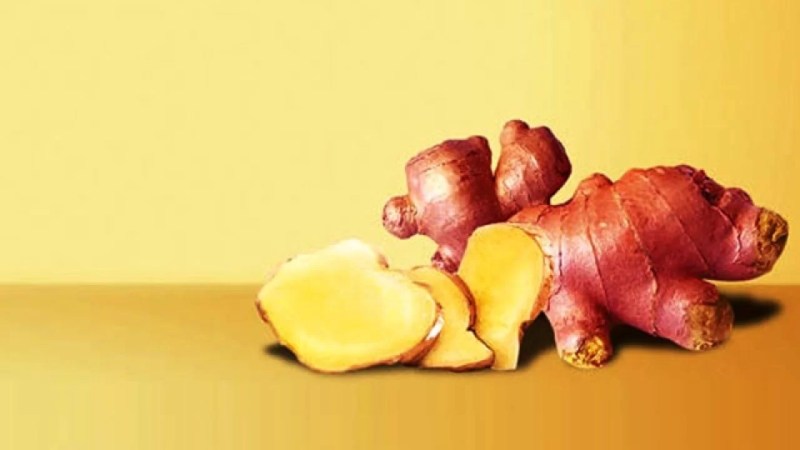 Manfaat Jahe Emprit Untuk Diet