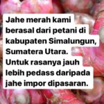Manfaat Jahe Merah Buat Kesehatan