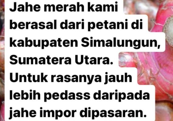 manfaat jahe merah buat kesehatan_466e604d2.jpg