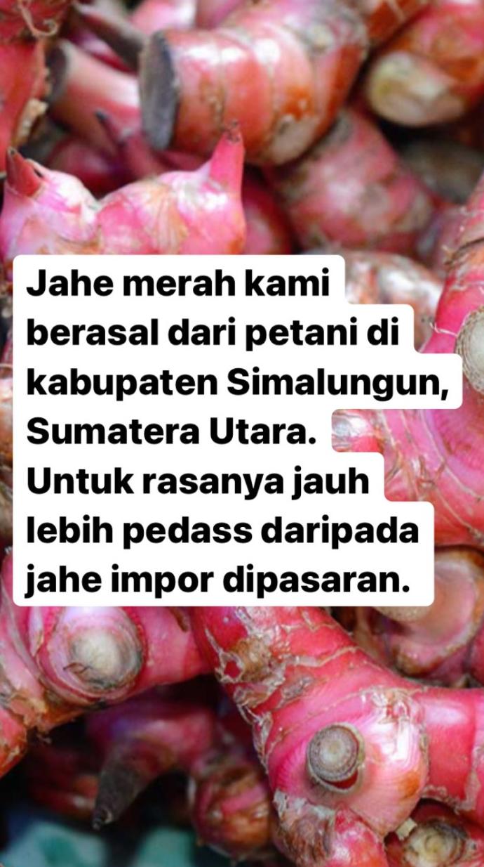 Manfaat Jahe Merah Buat Kesehatan