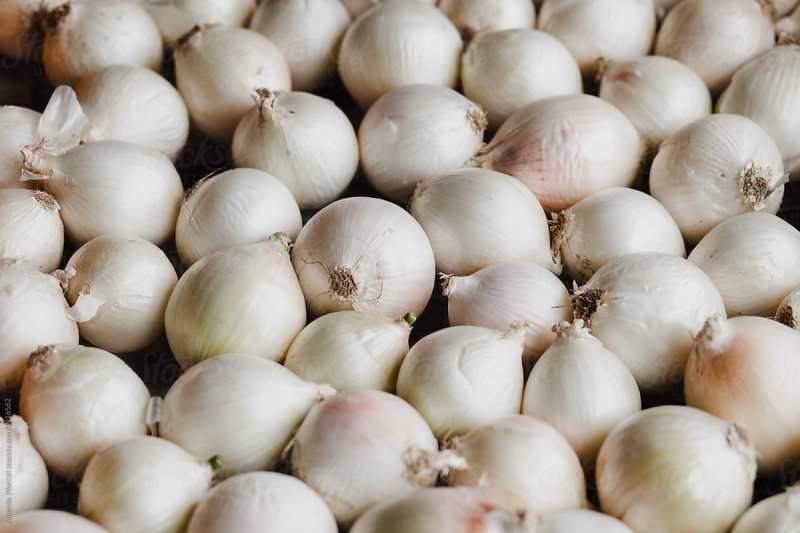 Manfaat Jahe Sama Bawang Putih