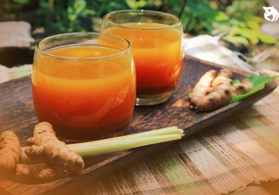 manfaat jamu kunyit temulawak jahe_1f8dc506a.jpg