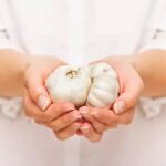 Manfaat Makan Bawang Putih Dan Madu Sebelum Tidur