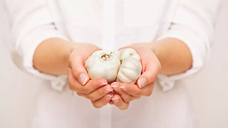 Manfaat Makan Bawang Putih Dan Madu Sebelum Tidur