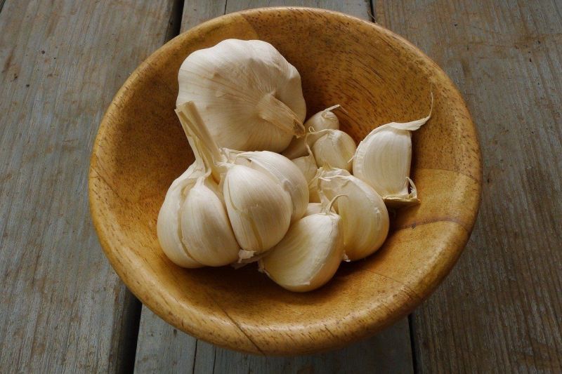 Manfaat Makan Bawang Putih Sebelum Tidur