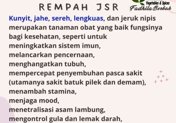 manfaat rebusan jahe kunyit dan bawang merah_8438ae724.jpg