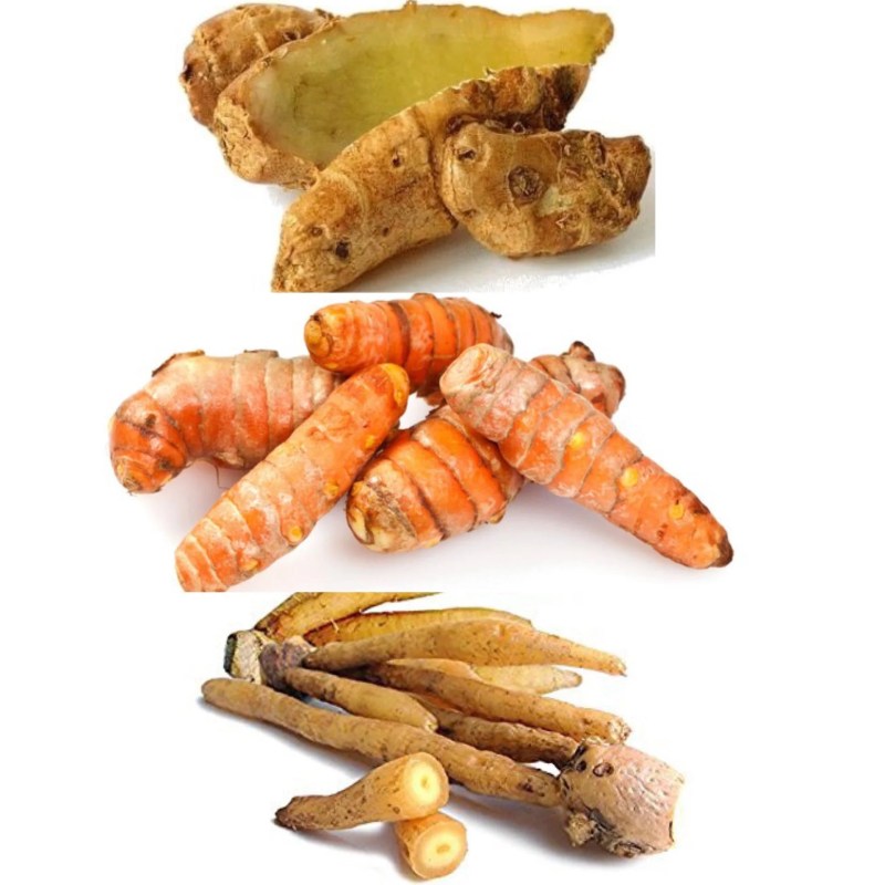 Manfaat Temulawak Jahe Dan Kunyit