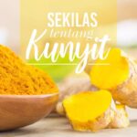 Kapsul Kunyit Untuk Asam Lambung