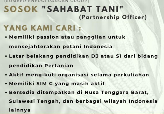 lowongan kerja di sulawesi tengah_56fe4be3f.jpg